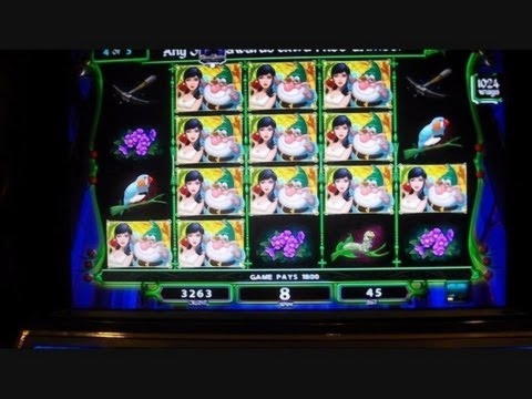 $715 no deposit bonus at Winorama