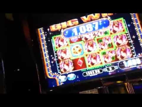 565% First Deposit Bonus at Maxi Play
