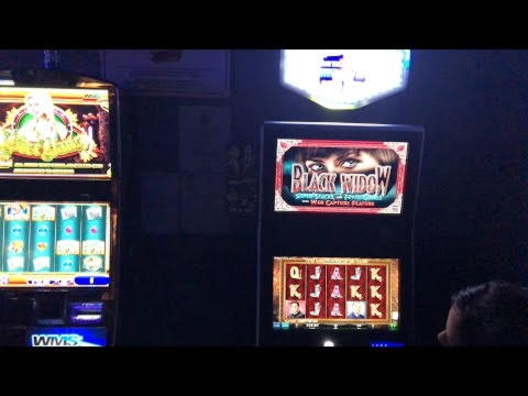 €666 Daily freeroll slot tournament at Slotter