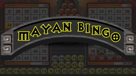 540% No Rules Bonus! at BGO Casino