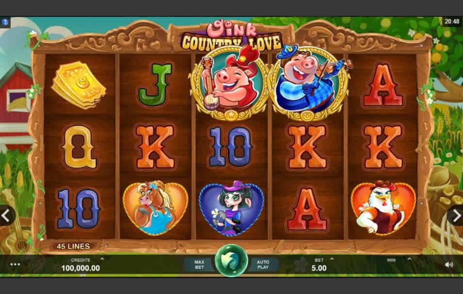 105 Free spins at Casino Dingo