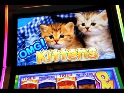 $ 610 gratis chip casino på Winorama