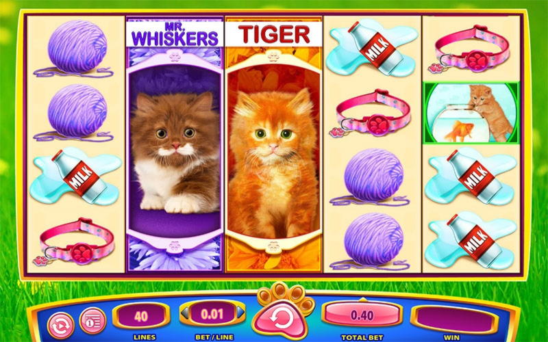 205 Free Spins Casino at Lotus Asia Casino