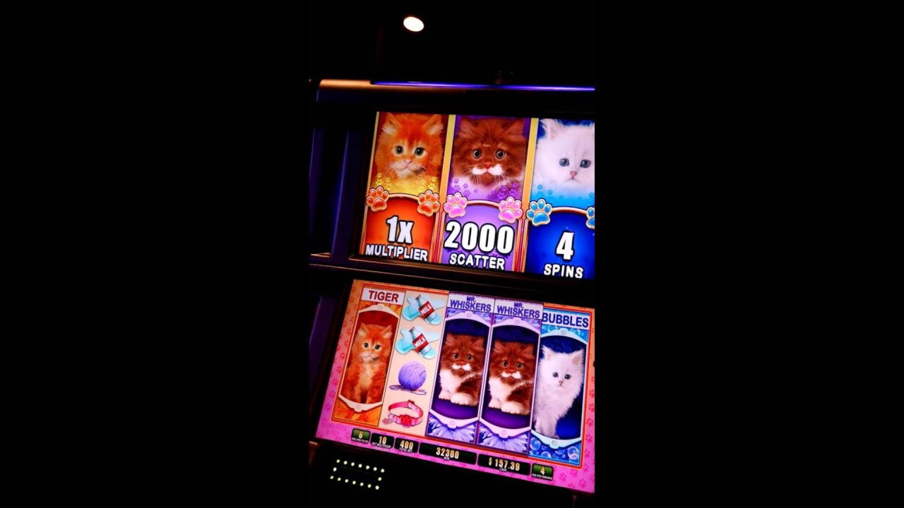 855% bonus w kasynie w zakładzie Quinn