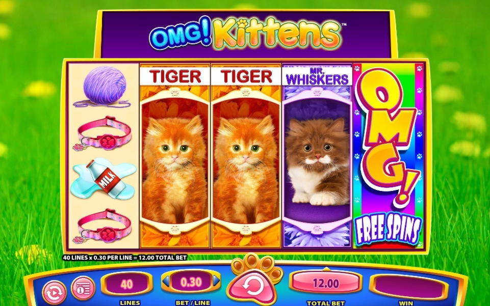 €325 FREE Chip Casino at My Bookie