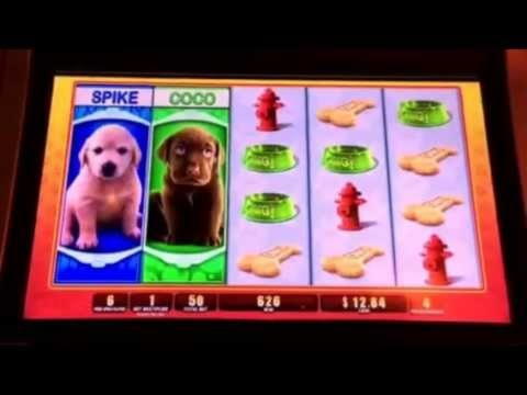 125% Signup casino bonus at Hippozino