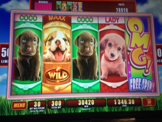 260% Casino Welcome Bonus at This Is Vegas