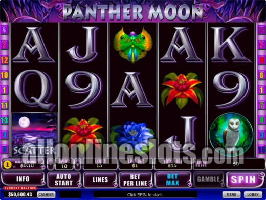 270 Loyalty Free Spins! at Paradise 8