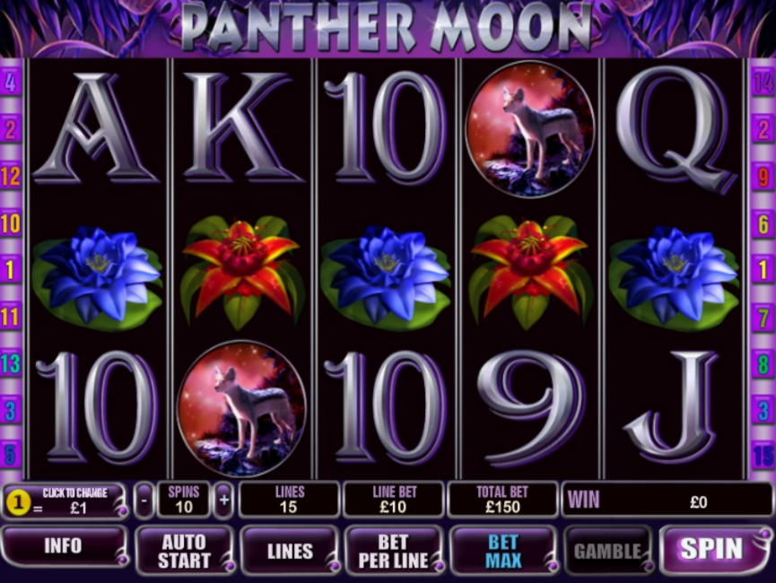 €140 Daily freeroll slot tournament at Casino King