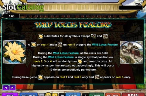 775% Bonus w Dabber Bingo