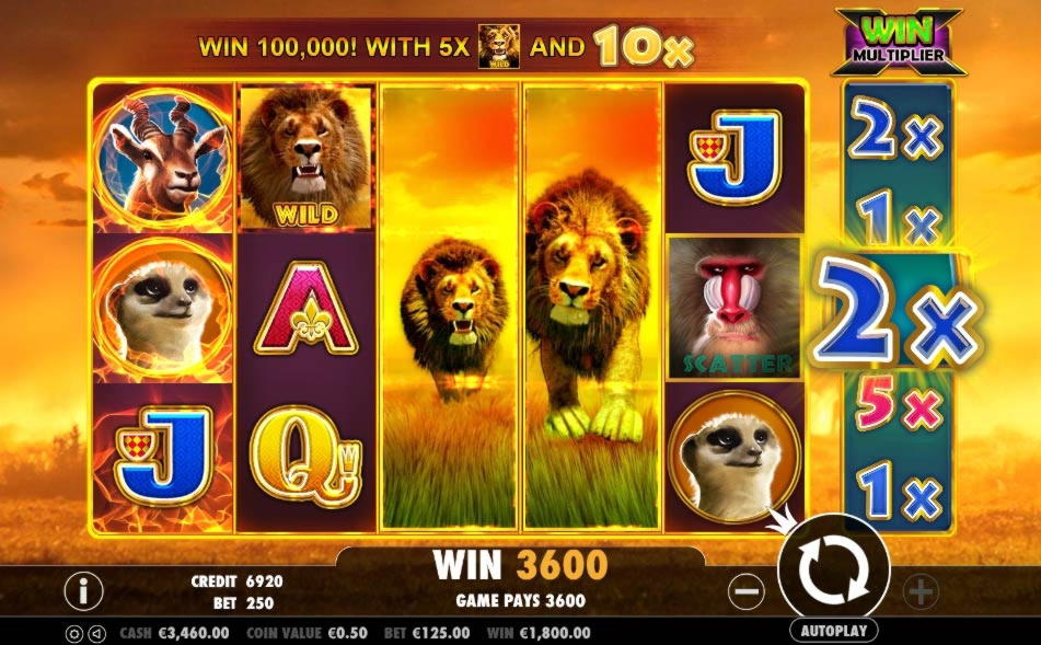 $ 595 Darmowy żeton kasyna w Reeltastic