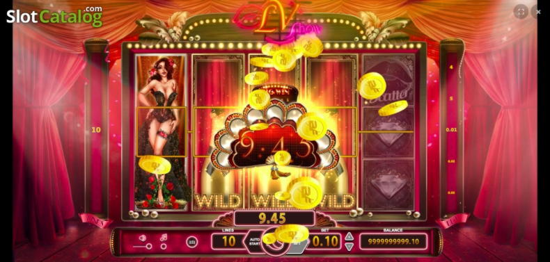 $ 560 Daily Freeroll-turnering på Wild Slots