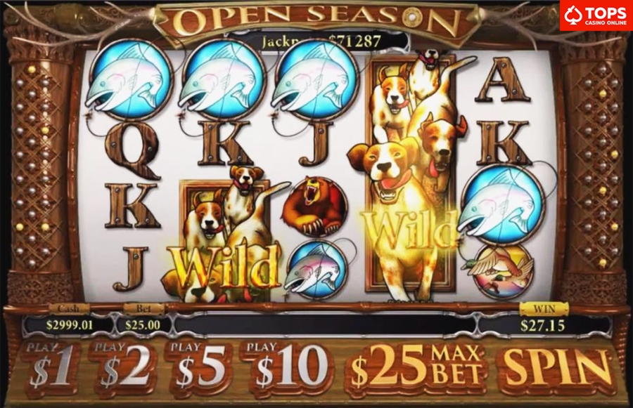 700% Best Signup Bonus Casino at Finland Casino