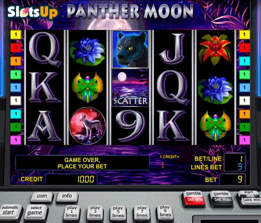 980% Match bonus casino at Box 24 Casino