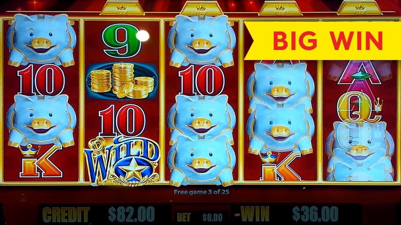 11 Loyal Free Spins! at Sloto'Cash