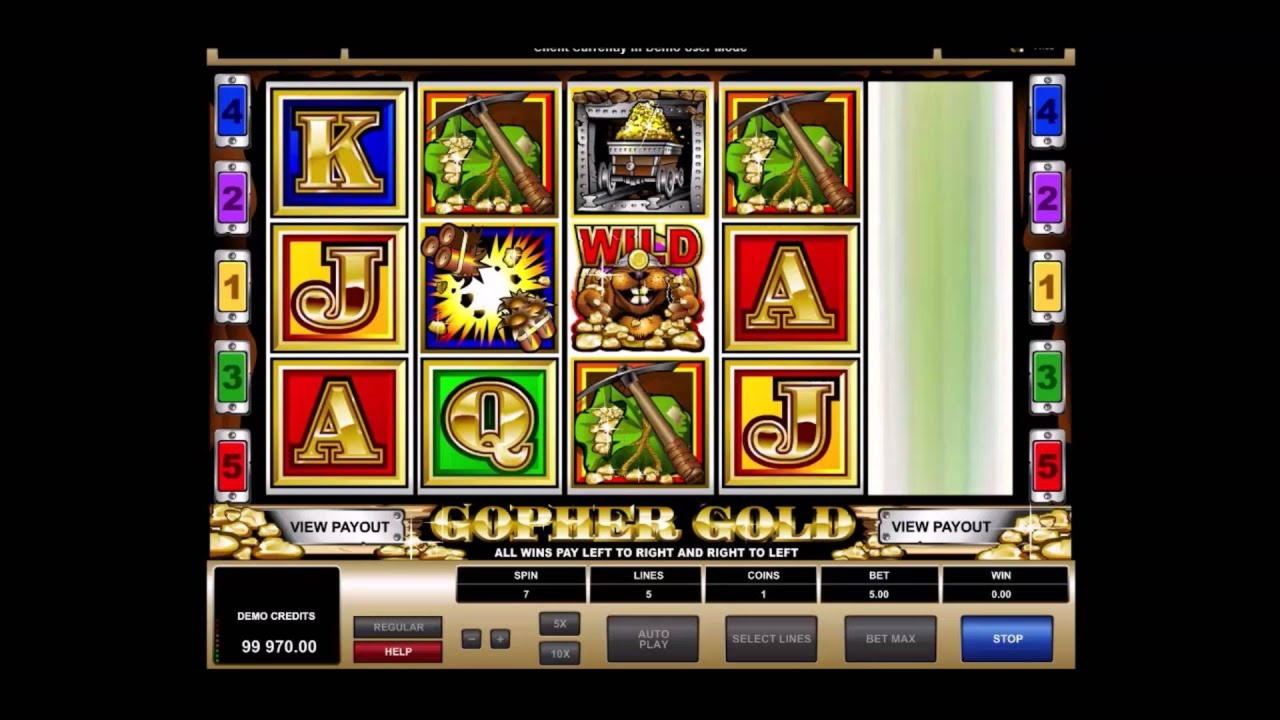 $655 Daily freeroll slot tournament at Gamebookers