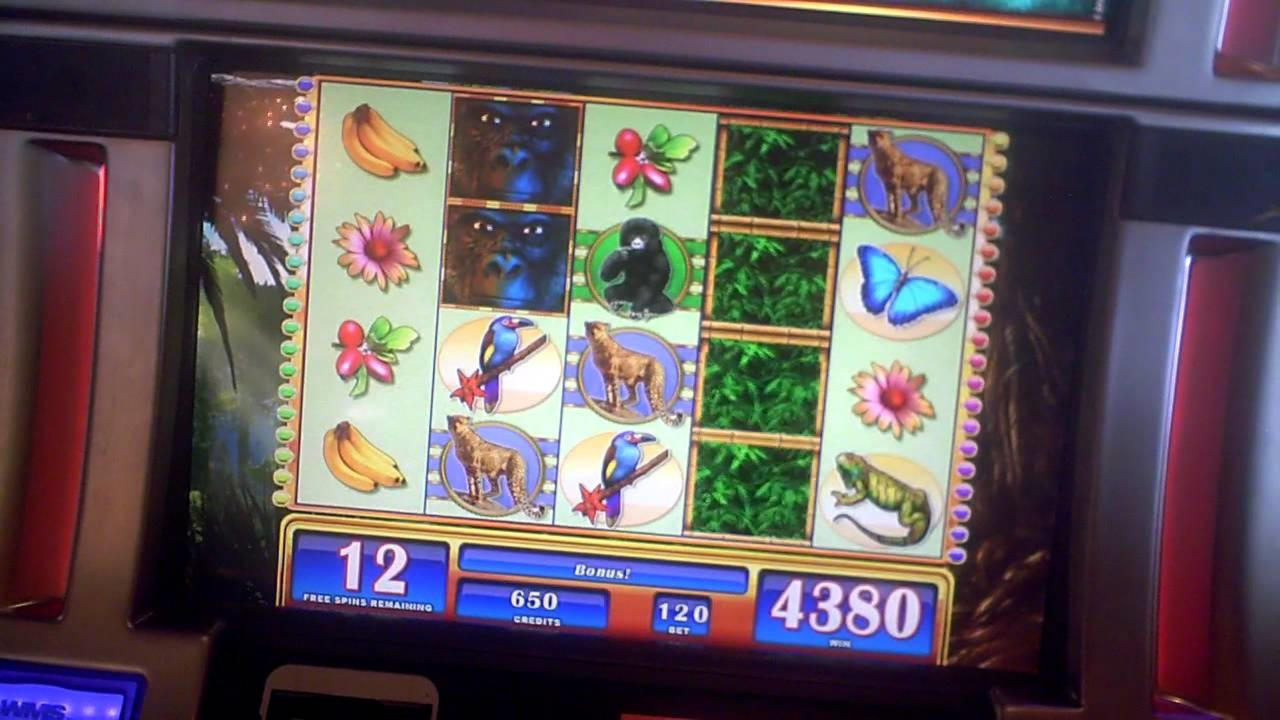 280 Loyal Free Spins! at Finland Casino