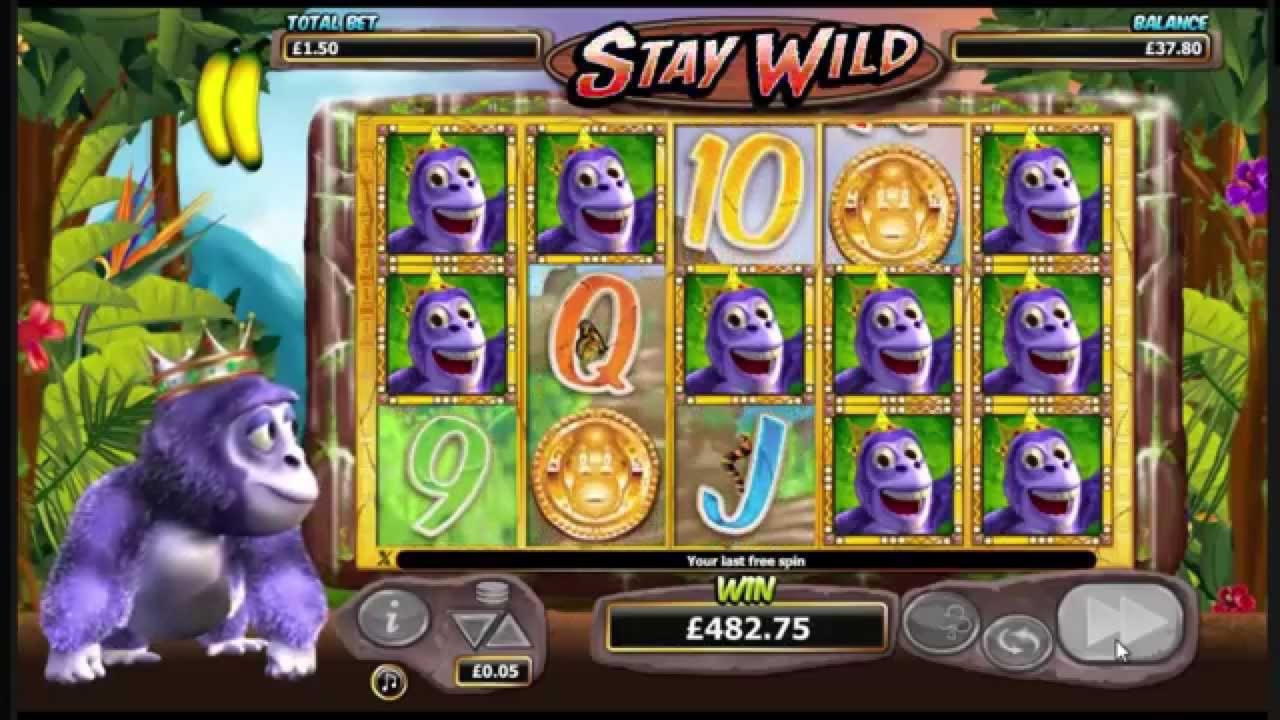 260% Match at a casino at Sloto'Cash