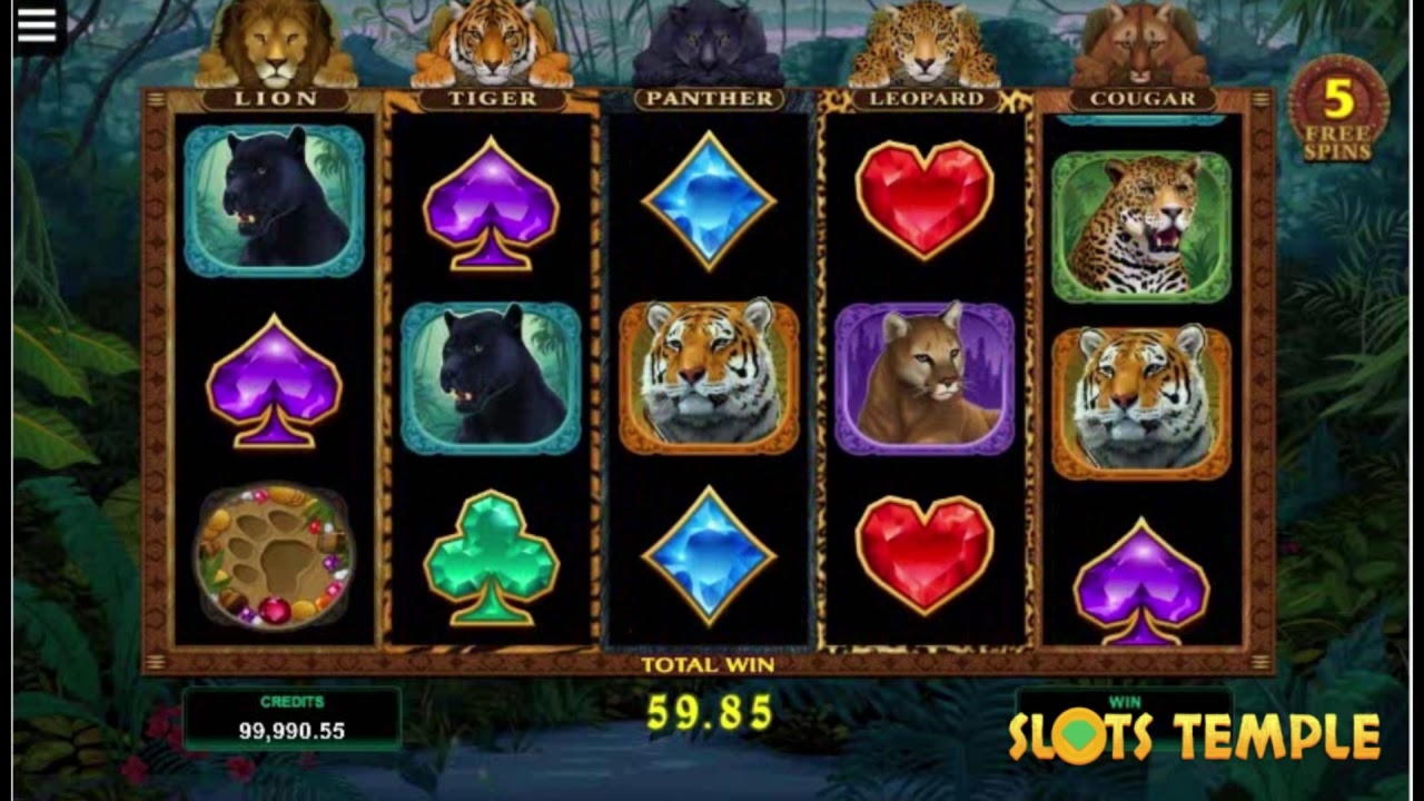 165 free spins at Gate777