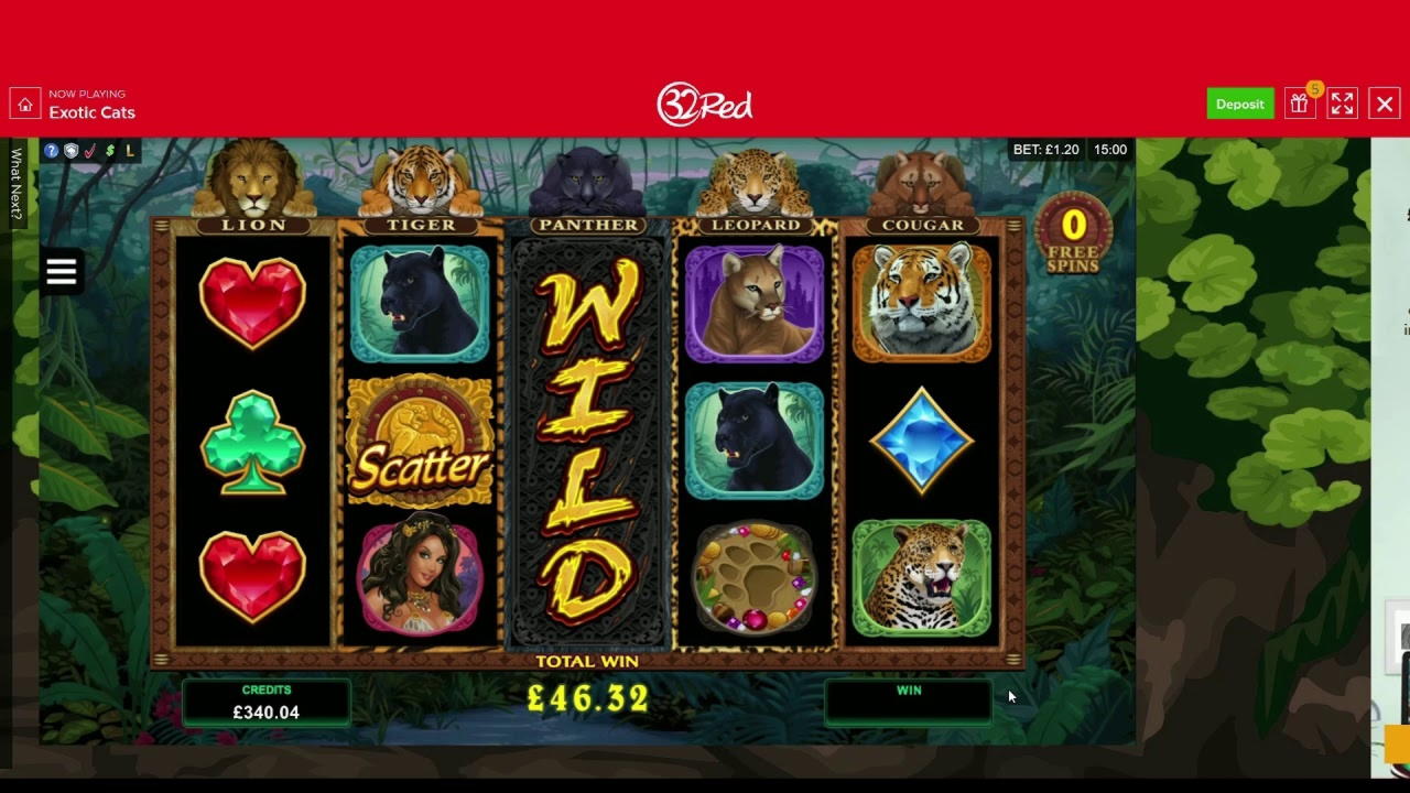 65 Free Spins no deposit at Video Slots