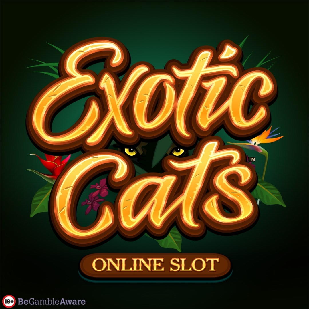 €2045 No Deposit Bonus Casino at Finland Casino