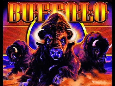 EURO 335 Free Chip w Dream Vegas