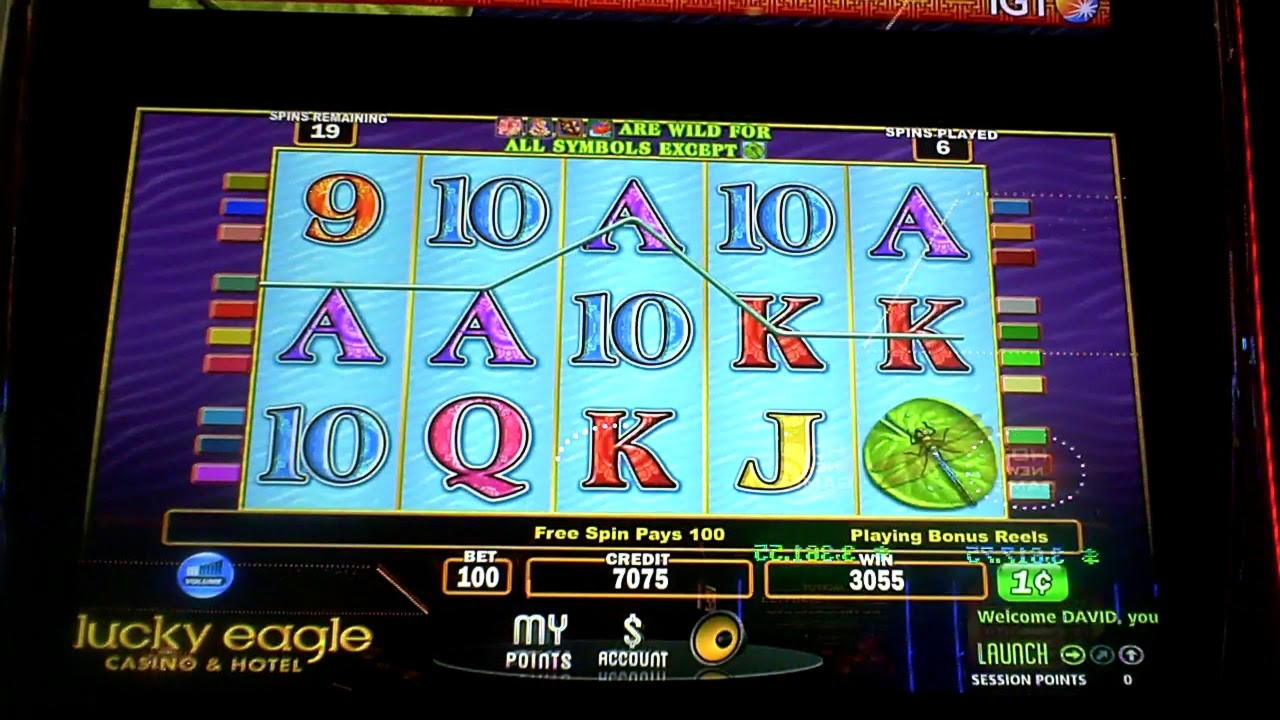 390% Match at a casino at Casino.com