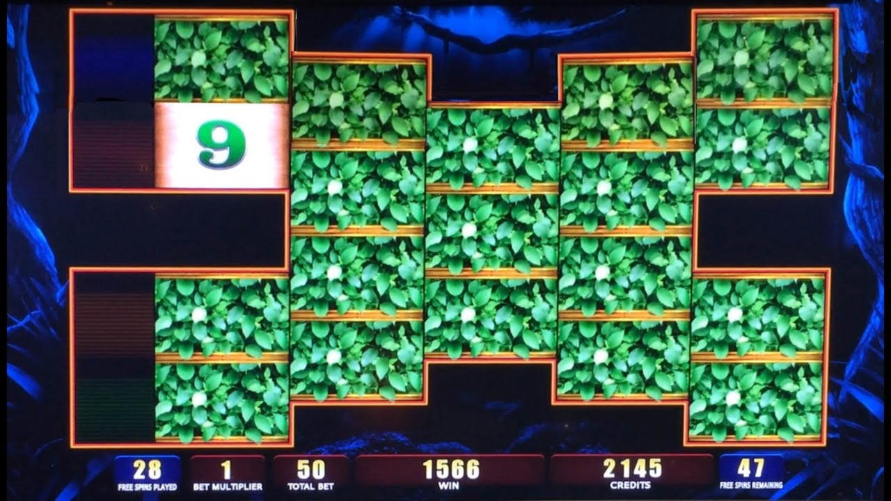 165 free spins no deposit casino at Gamebookers