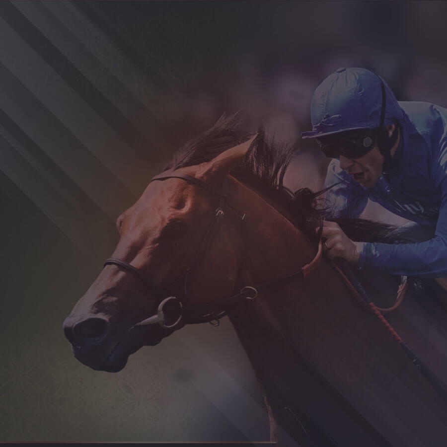 275 free spins at Slots Capital