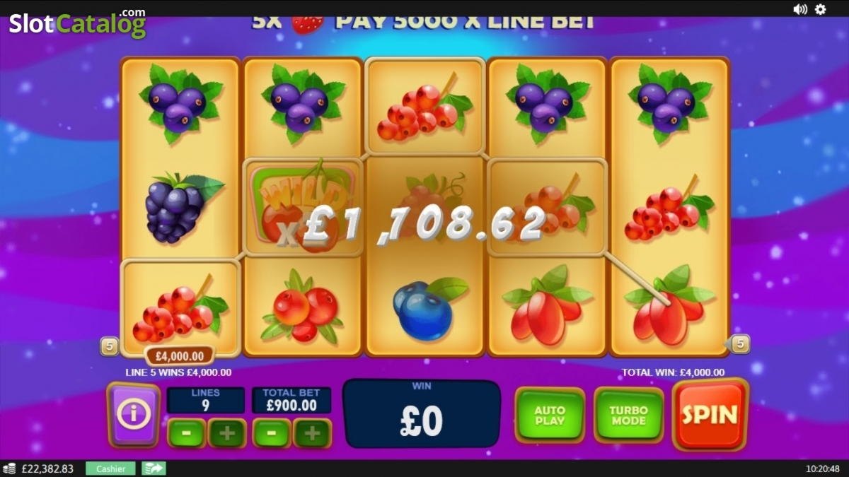 205% Deposit Match Bonus at William Hill