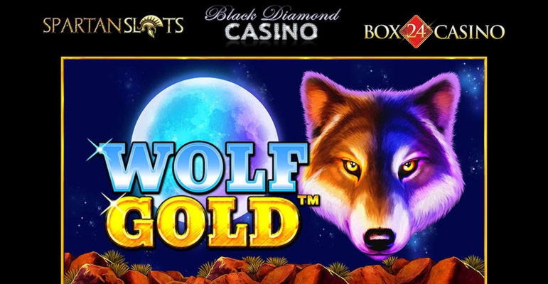 EUR 685 No Deposit at Betwinner