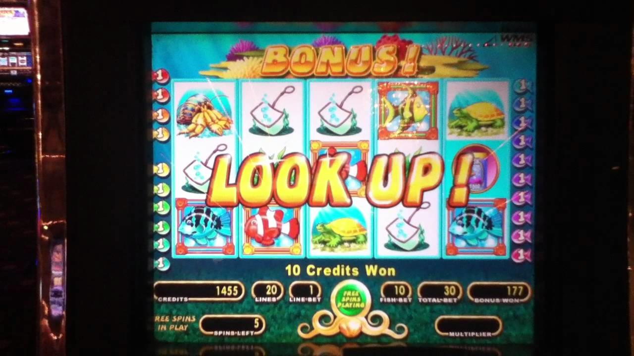 15 free spins no deposit casino at PH Casino