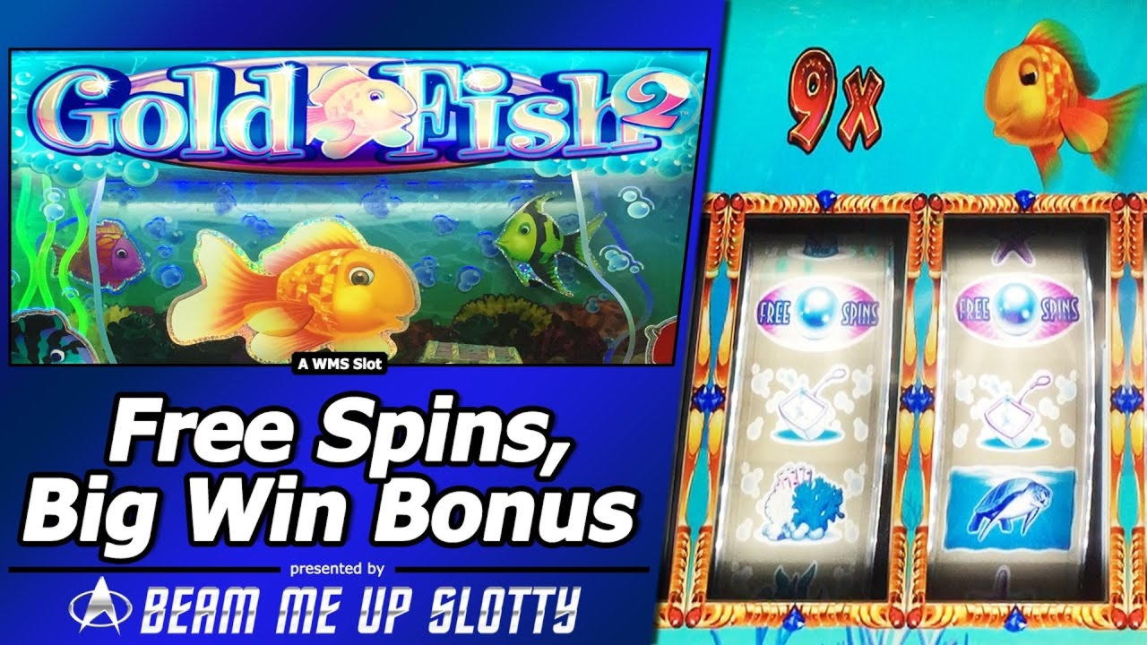 Eur 50 Free Chip at Fair Go