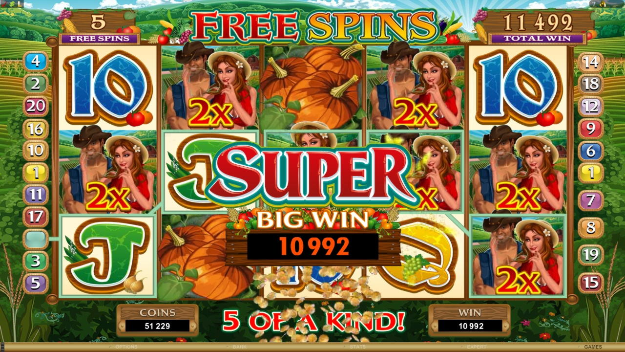 EUR 4020 no deposit at Rizk