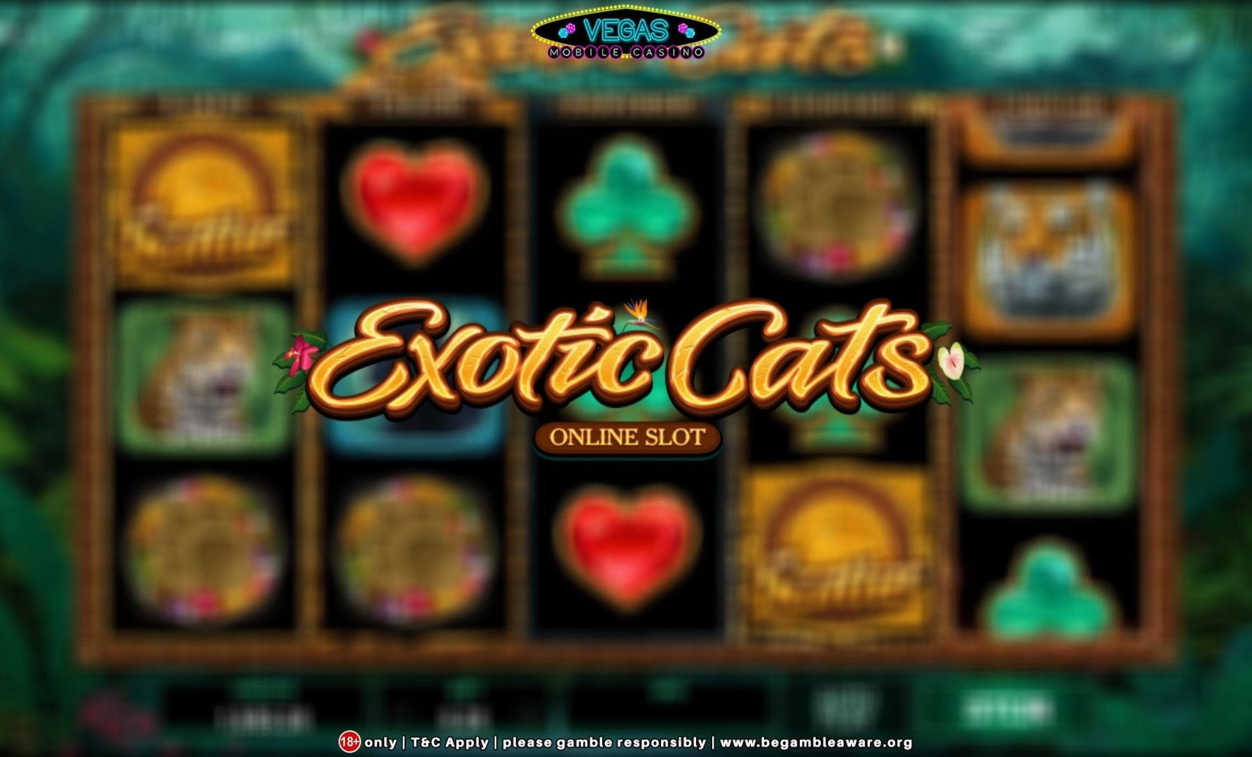 15 free spins no deposit at Gamebookers