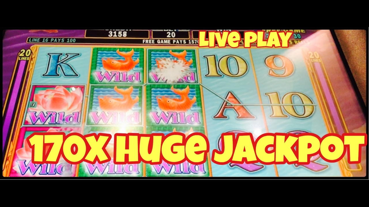 EUR 535 KOD BONUSOWY BEZ DEPOZYTU w Party Casino