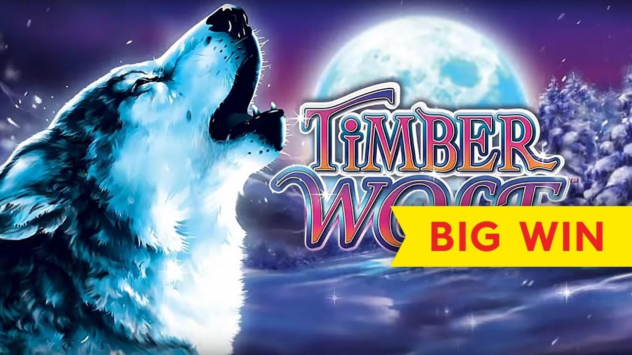 33 Free spins casino at Treasure Island Jackpots (Sloto Cash Mirror)