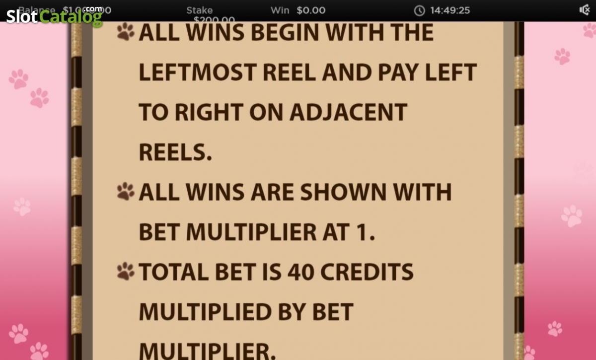 735% Match at a Casino at Spinstation
