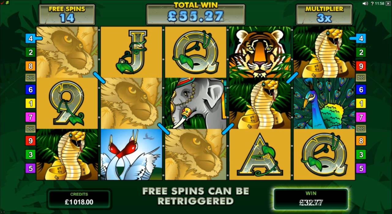 605% Match Bonus at Rizk