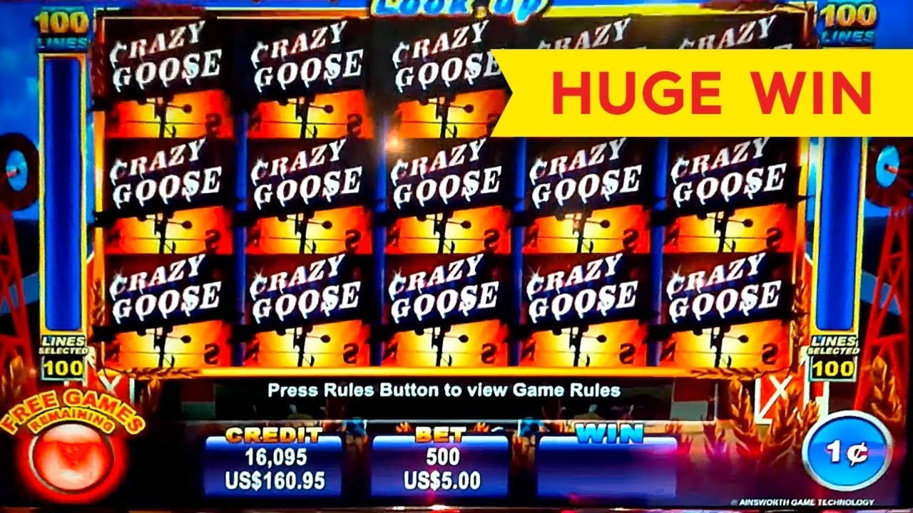 $305 Casino Tournament at Spinland