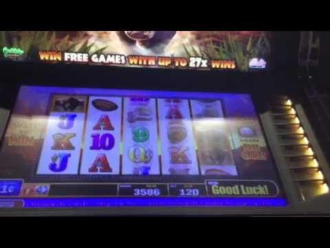 €1330 NO DEPOSIT at Leo Vegas