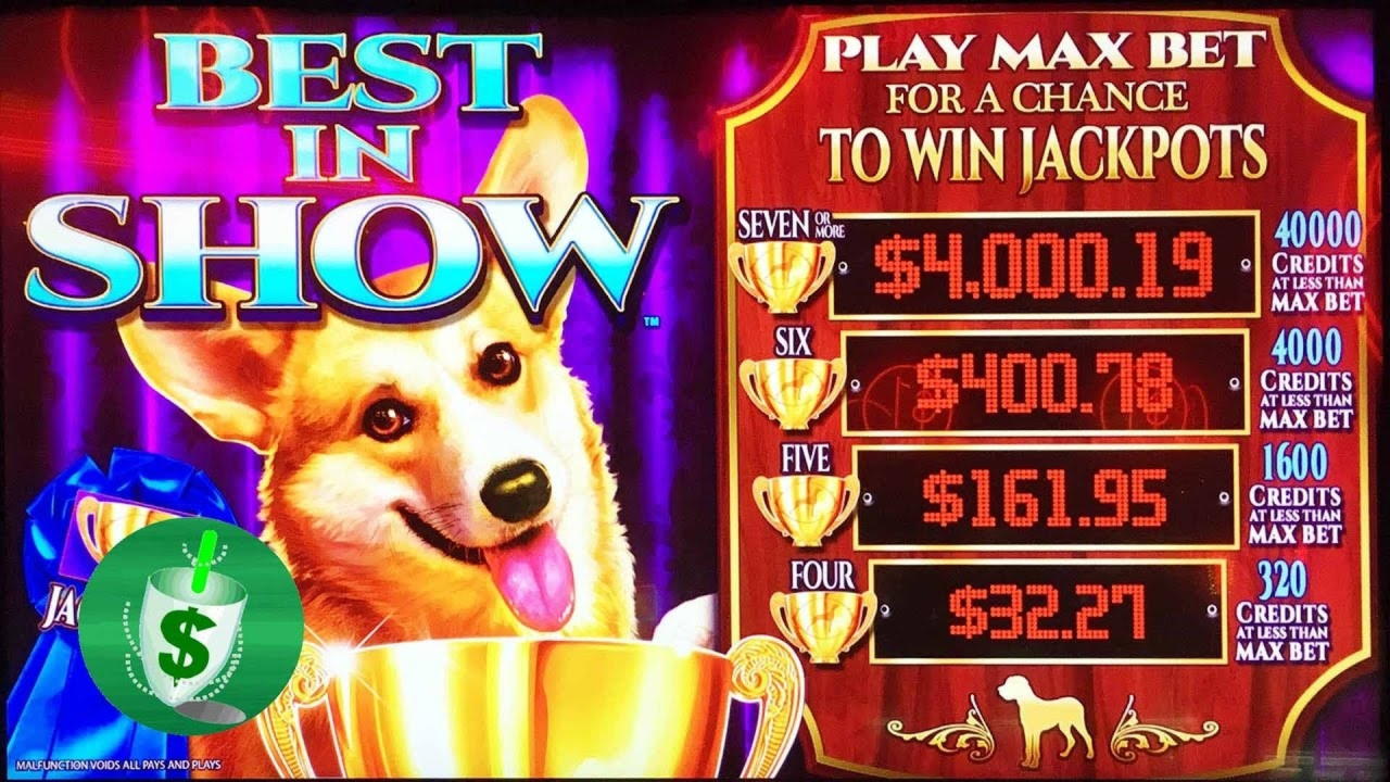 160 Free spins no deposit casino at Gamebookers