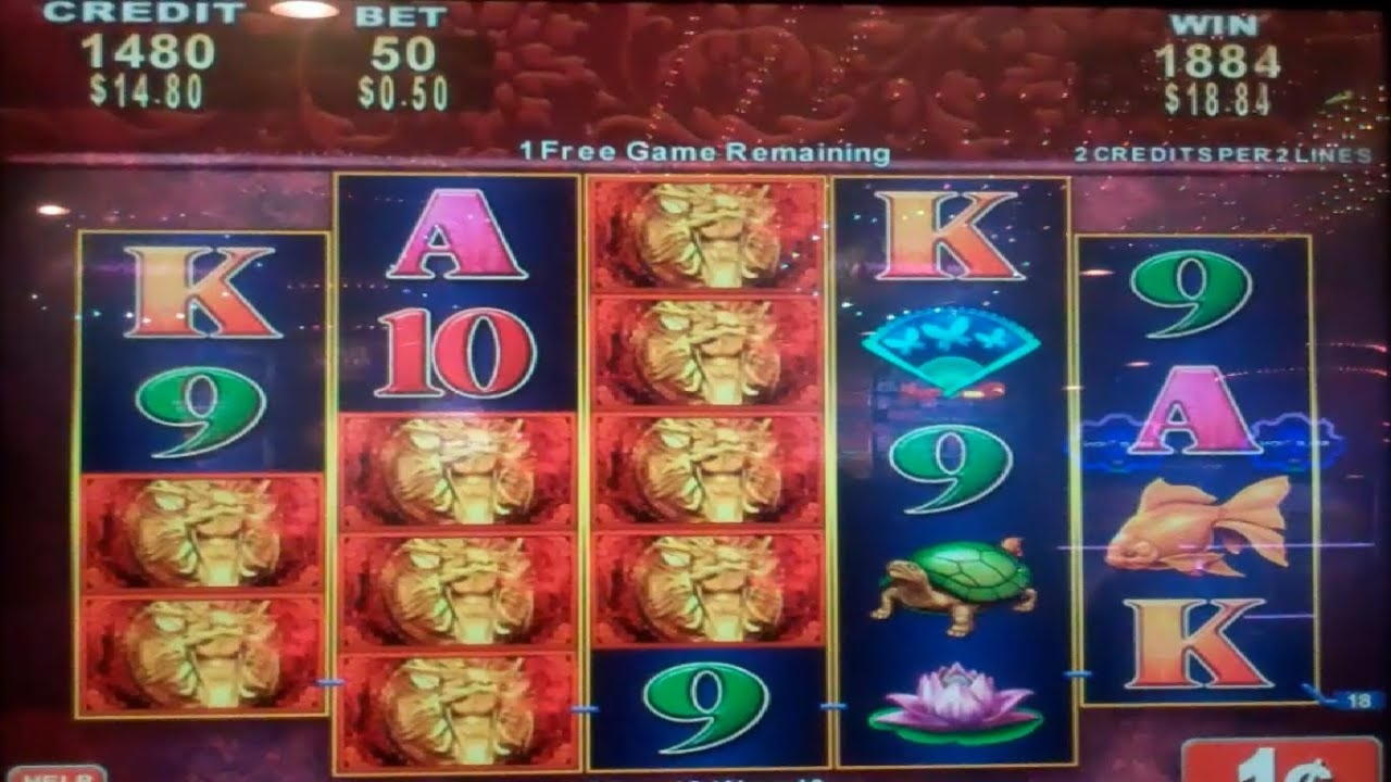 245% No Rules Bonus! at Gamebookers