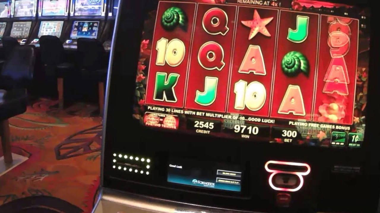 800% No Rules Bonus! at Desert Nights