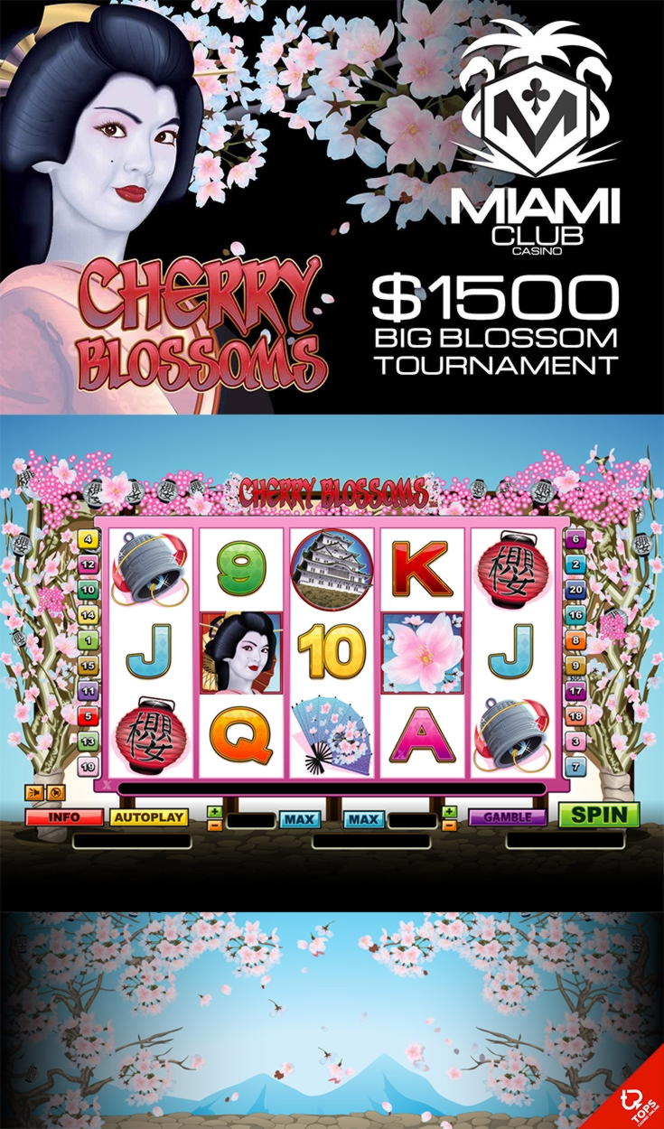 EUR 185 Free Chip Casino at Video Slots