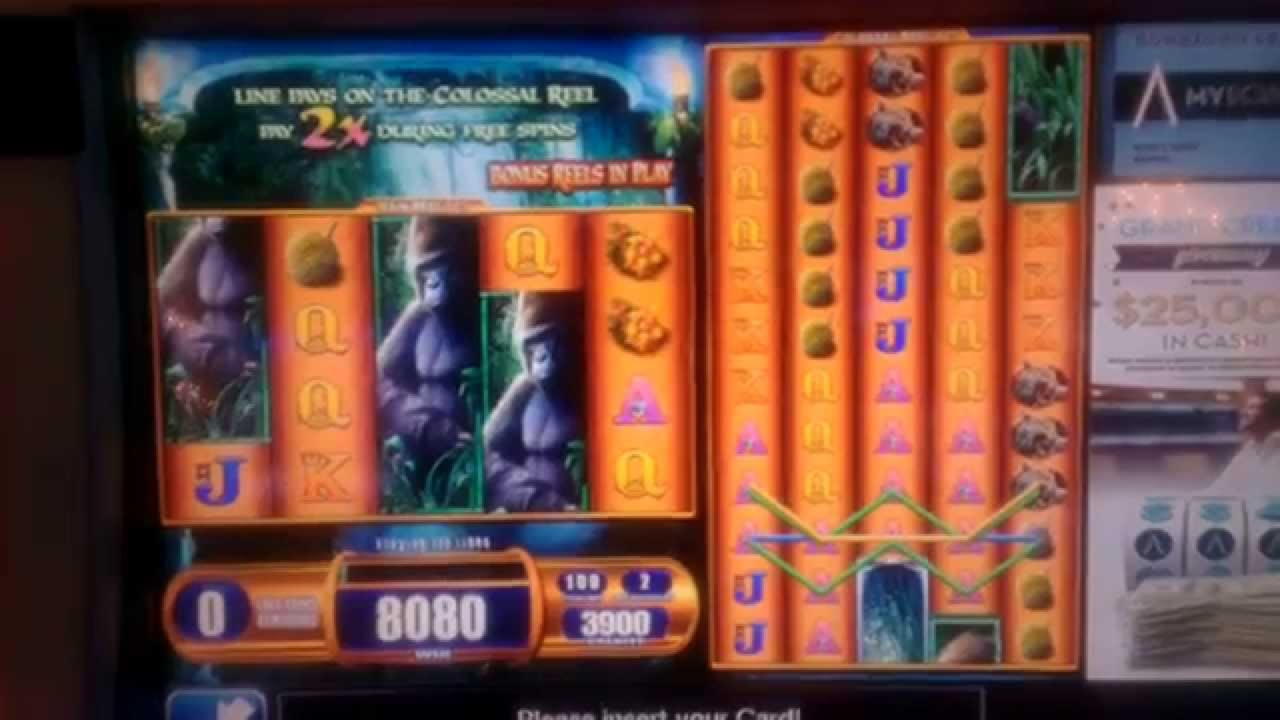 €145 Free Casino Tournament at Gamebookers