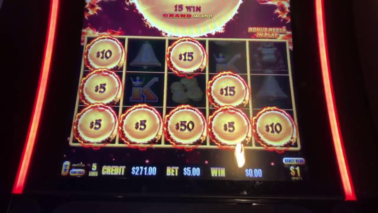 ﻿$555 Free Cash at Spinrider
