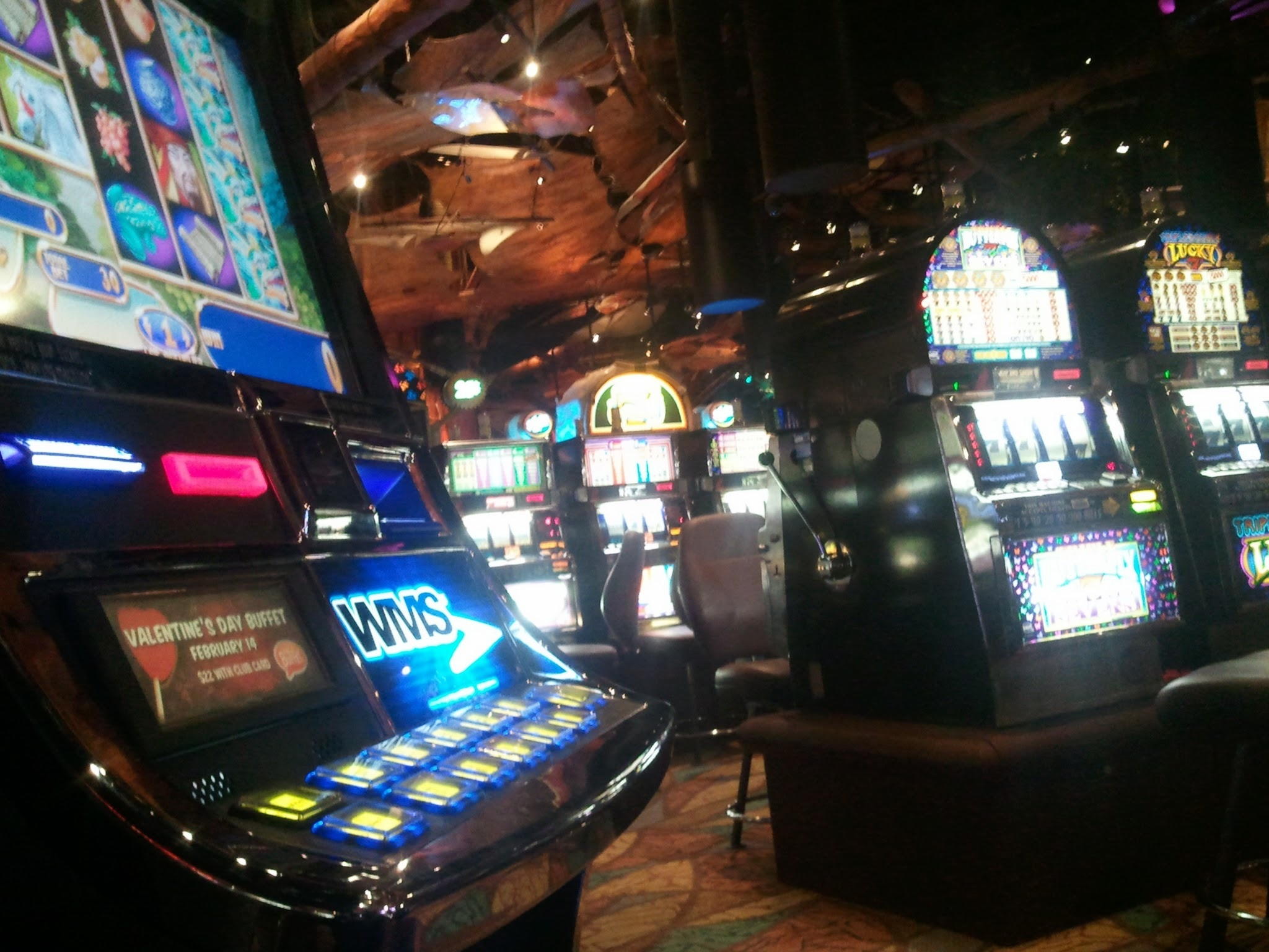 Bonus kasynowy 1695 bez depozytu na bwin