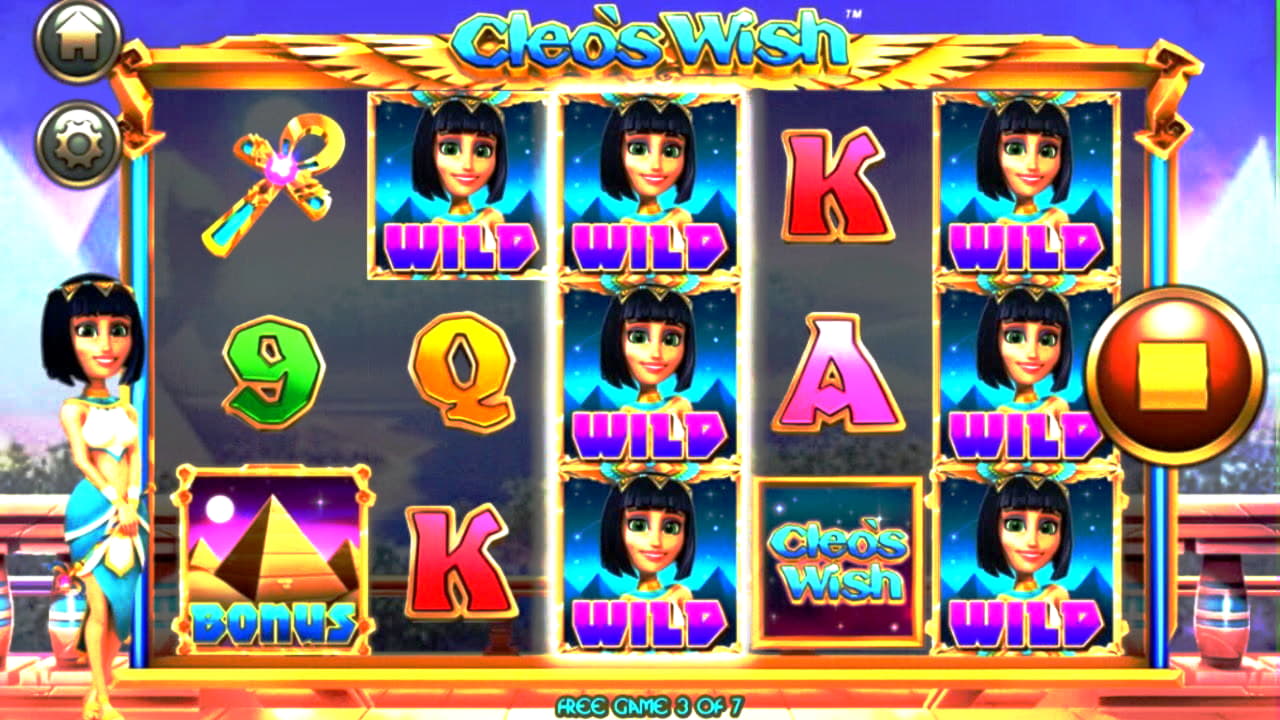 24vipnodepositbonuscodes no deposit