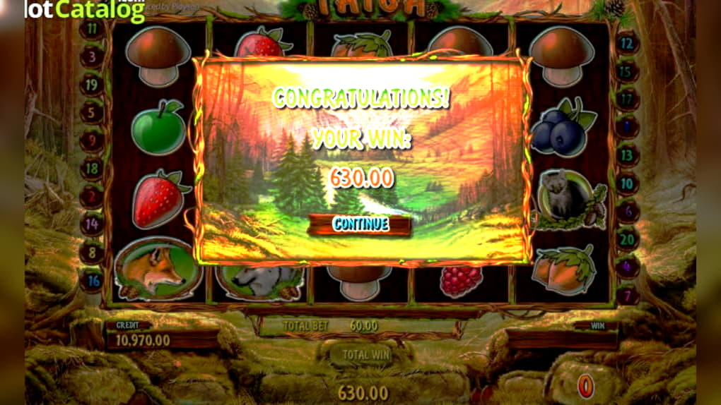 allstarcasino new bonus